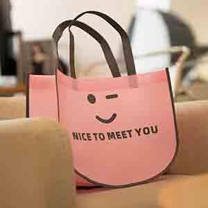 What a cute shopping tote bag!!